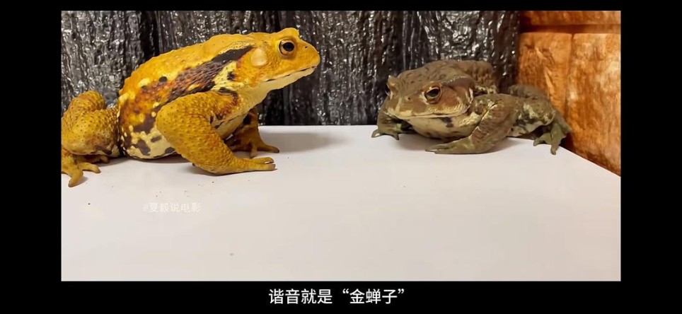 【人物和彩蛋解析】大家都是无名之辈，但我仍然认为自己是盖世英雄