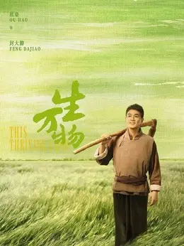 封大脚剧照